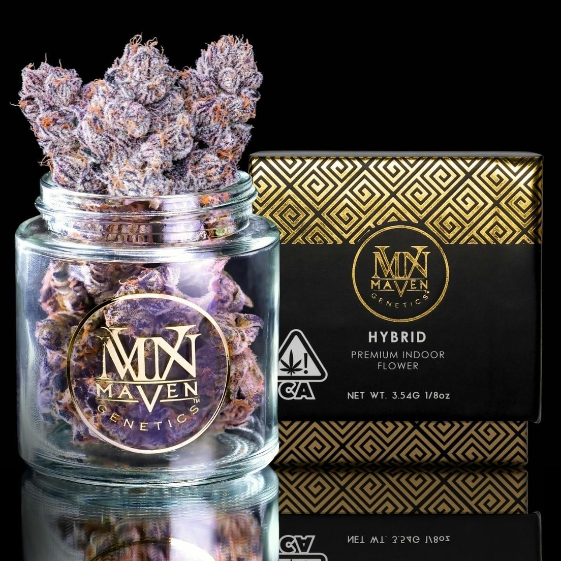 Maven Genetics New Money 3.5g 31%